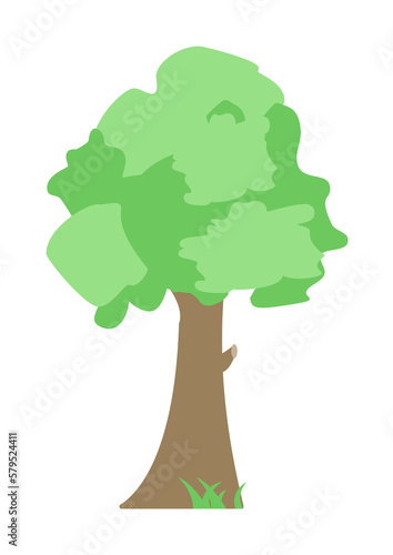 evergreen tree colored icon illustration design art