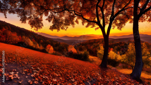 Autumn Symphony  Captivating Images of the Fall Season