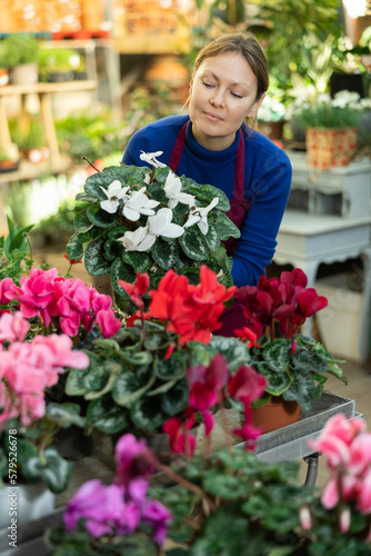 Woman flower seller holding cyclamen in her hands in flower shop © JackF