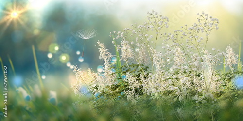 wild field flowers and green grass  sun light meadow summer spring nature generated ai