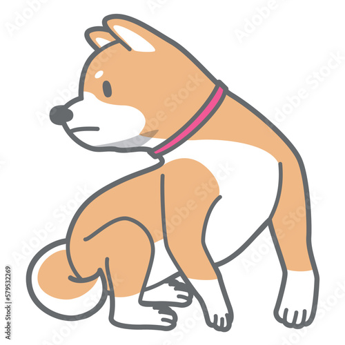 振り返る柴犬のベクターイラスト