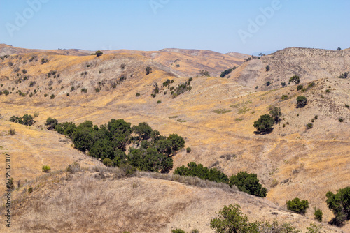 Dry grassy hills and large oak trees during the summer months in Calabasas, California.