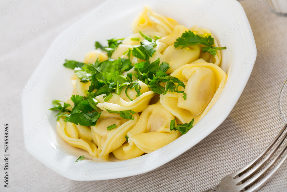 Delicious appetizing dumplings with parsley. High quality photo