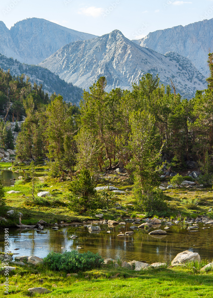 Lakes, streams, forests, wildflowers, fields, and other wilderness seen throughout the eastern sierra mountains in California. Pictures taken hiking in Mammoth, Bishop, and lone pine, California.