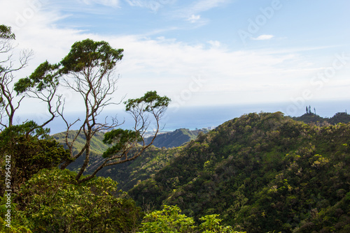 views hiking on the Wiliwilinui Ridge Trail in Honolulu, Hawaii. On the Oahu Island.