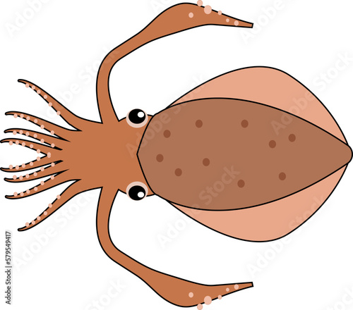 可愛いアオリイカ