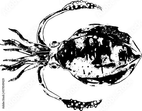 アオリイカの墨絵・魚拓