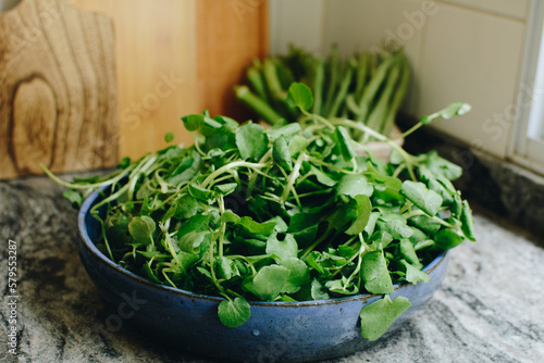 Fresh and Nutritious Watercress Salad in Blue Ceramic Bowl