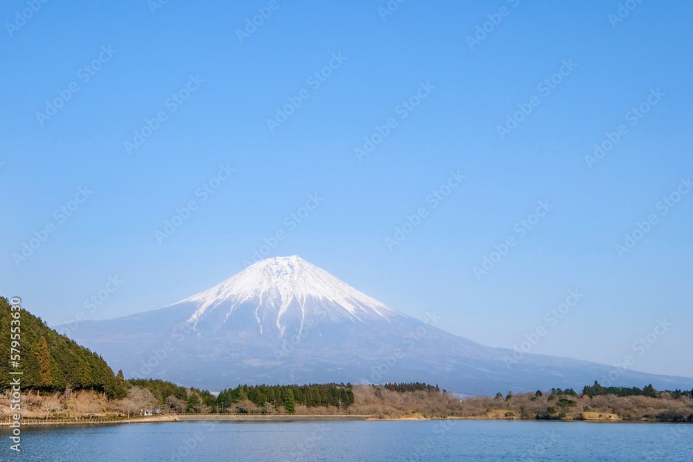 静岡県富士宮市白糸自然公園からの富士山