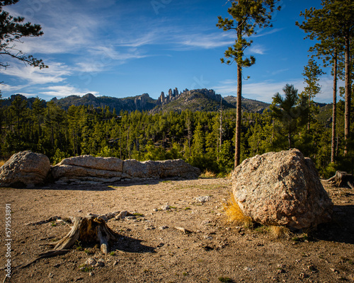 rocks in the forest