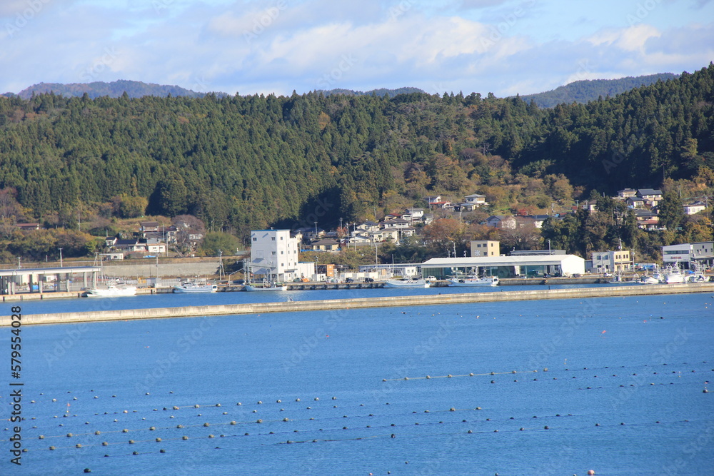 海と山に挟まれている、小さな港と住宅地の風景