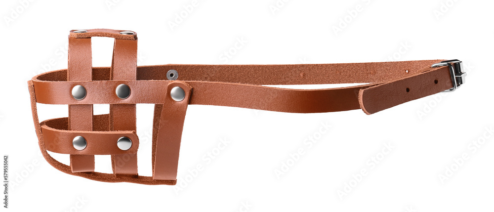 Fototapeta premium Brown leather dog muzzle isolated on white