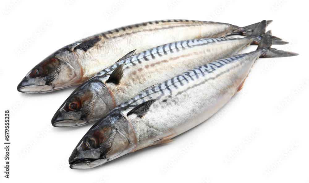 Three tasty raw mackerels isolated on white Three tasty raw mackerels isolated on white