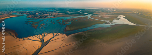 Wallpaper Mural Jiangxi. Poyang Lake. Freshwater. Wetland Torontodigital.ca