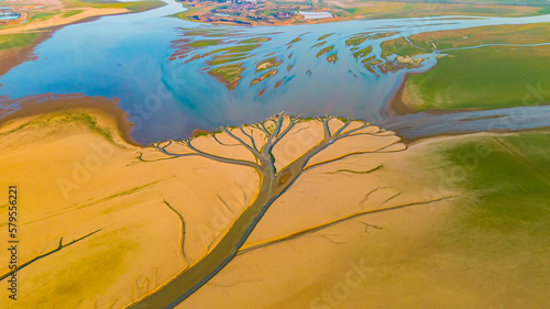 Jiangxi. Poyang Lake. Freshwater. Wetland