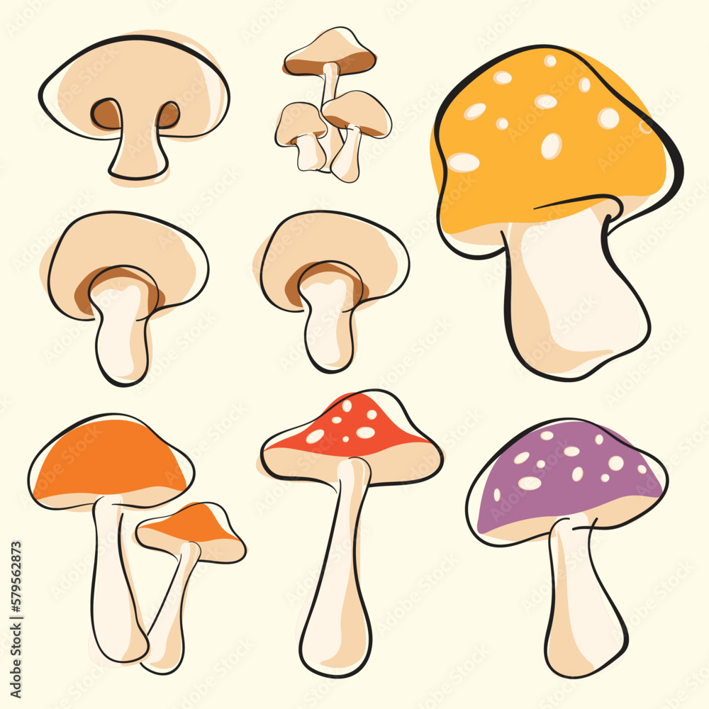 illustration of mushrooms