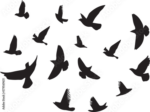 Silhouette Bird flying - shadow black ink icons of birds Flying- herons flying - egret Flying  Bird Fly  Flock Fly  collection  Sea Gull  Set Silhouettes on white background 