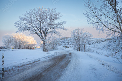 Frost covered trees along road © MonDakWX
