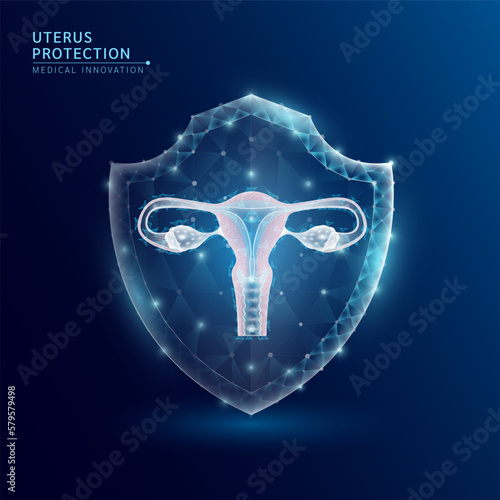 Female uterus anatomy organ translucent low poly triangle inside shield futuristic glowing. On dark blue background. Immunity protection medical innovation concept. Vector EPS10.