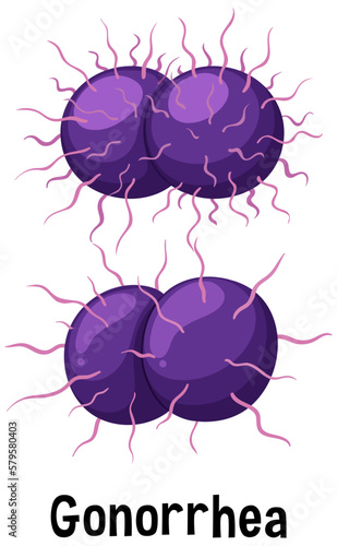 Neisseria gonorrhoeae bacterium with text