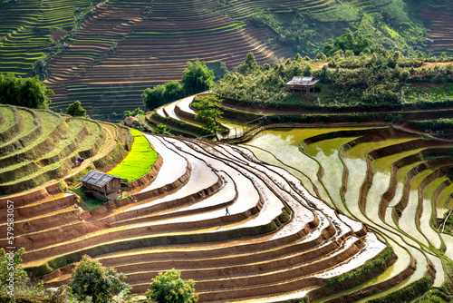 Beautiful scenery the curves of terraces field with sunlight reflected in the season watering season in Mu Cang Chai in Yen Bai Province, Vietnam photo