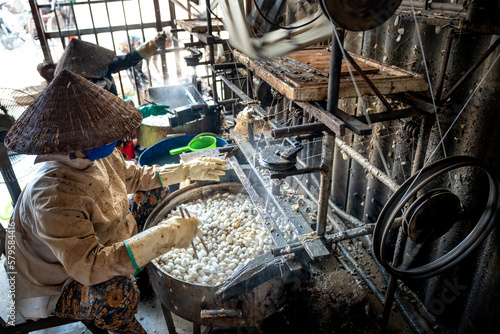 workers are sorting silkworm pupae photo