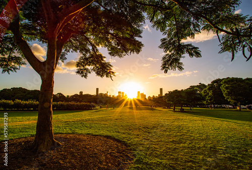 Fototapeta Naklejka Na Ścianę i Meble -  The sunset in the new farm park in Brisbane