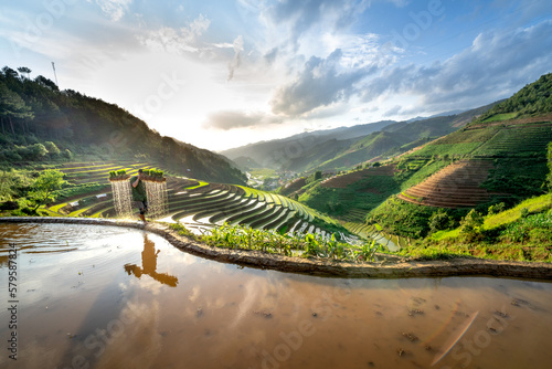 H'mong ethnic people work on rice fields in Mu Cang Chai, Yen Bai Province, Vietnam photo