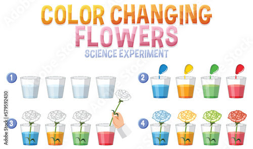 Color changing flowers science experiment