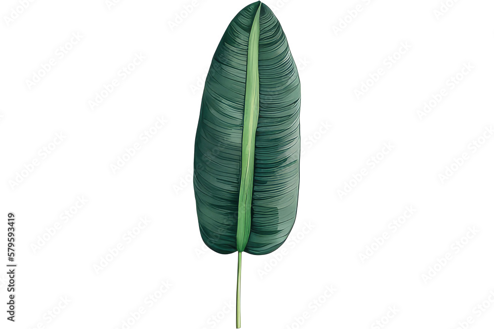 green leaf isolated generative ai. green leaf isolated generative ai.