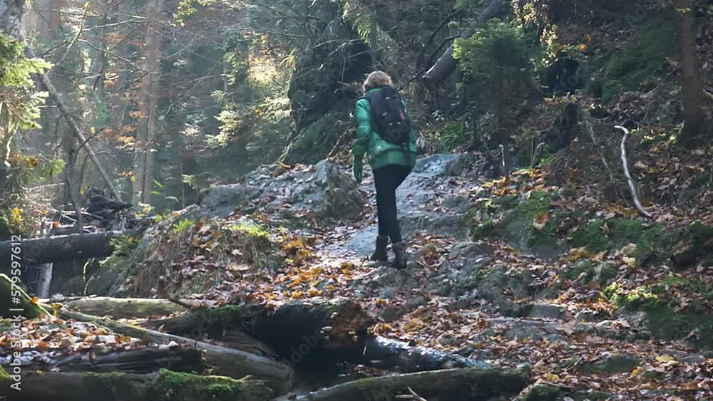 Handheld Shot Of Female Hiker In Slovak Paradise National Park. Sunny Day