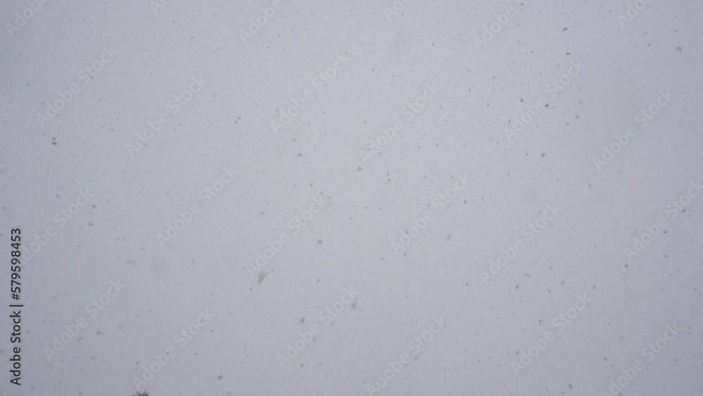 snow is slowly falling in the sky snow is slowly falling in the sky
