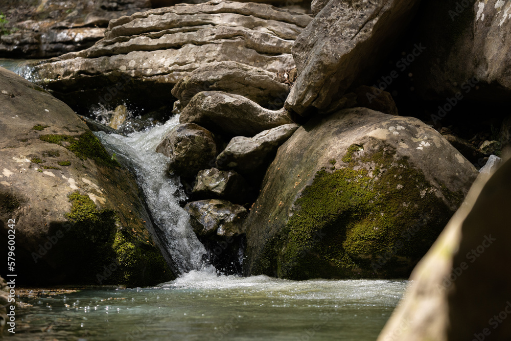 stream in the forest