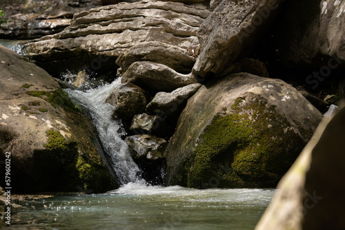 Obraz na płótnie stream in the forest w salonie