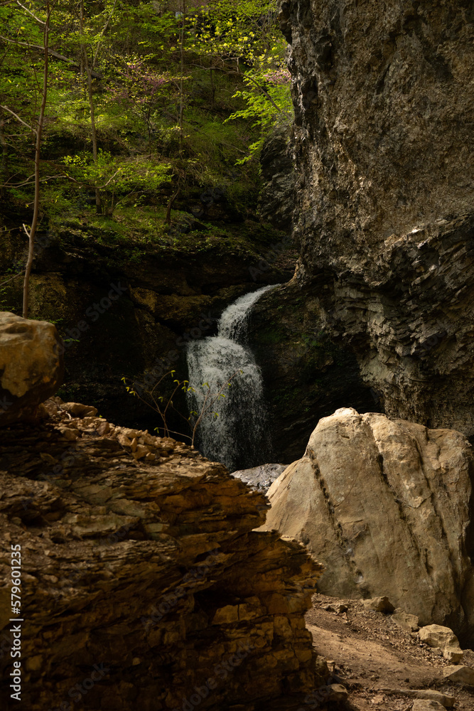 waterfall in the forest