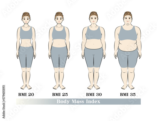 若い女性のBMI指数による体型の変化 ボディマスインデックス イラスト ベクター