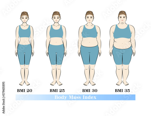 若い女性のBMI指数による体型の変化 ボディマスインデックス イラスト ベクター