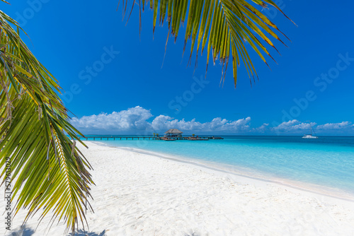 Beautiful tropical Maldives island scene blue sea, blue sky holiday vacation vertical background. Wooden pathway, pier. Amazing summer travel concept. Ocean bay palm trees sandy beach. Exotic nature  © icemanphotos