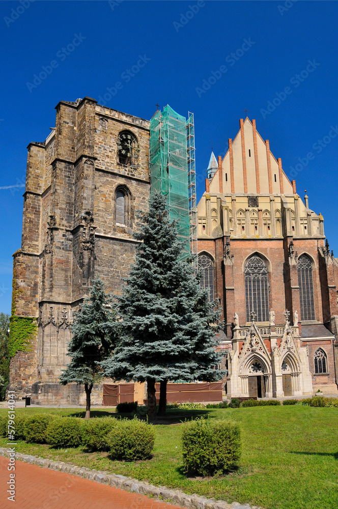 Cathedral of St. James and St. Agnes. Nysa, Opole Voivodeship, Poland. Cathedral of St. James and St. Agnes. Nysa, Opole Voivodeship, Poland.