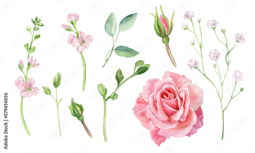 Watercolor set with individual floral illustration. Delicate roses with green leaves, pink peach blush flowers, twigs, eucalyptus, rose, peony. For wedding invitations, wallpapers, fashion prints.