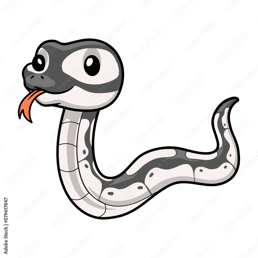 Fototapeta premium Cute axanthic ball python cartoon