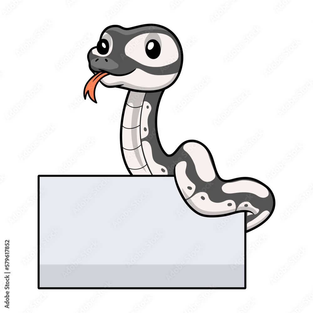 Fototapeta premium Cute axanthic ball python cartoon with blank sign