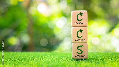 Tableau sur toile CCS (Carbon Capture and Storage) on wooden blocks on environment background