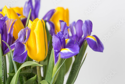 A bouquet of yellow tulips and purple irises on a white isolated background. The concept of the onset of spring and International Women s Day on March 8.