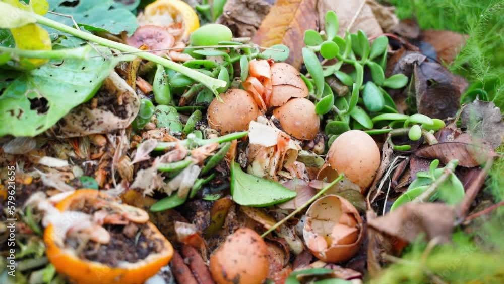 Smooth camera movement over a compost heap close-up. Various biodegradable human waste. Sorted organic waste Smooth camera movement over a compost heap close-up. Various biodegradable human waste. Sorted organic waste