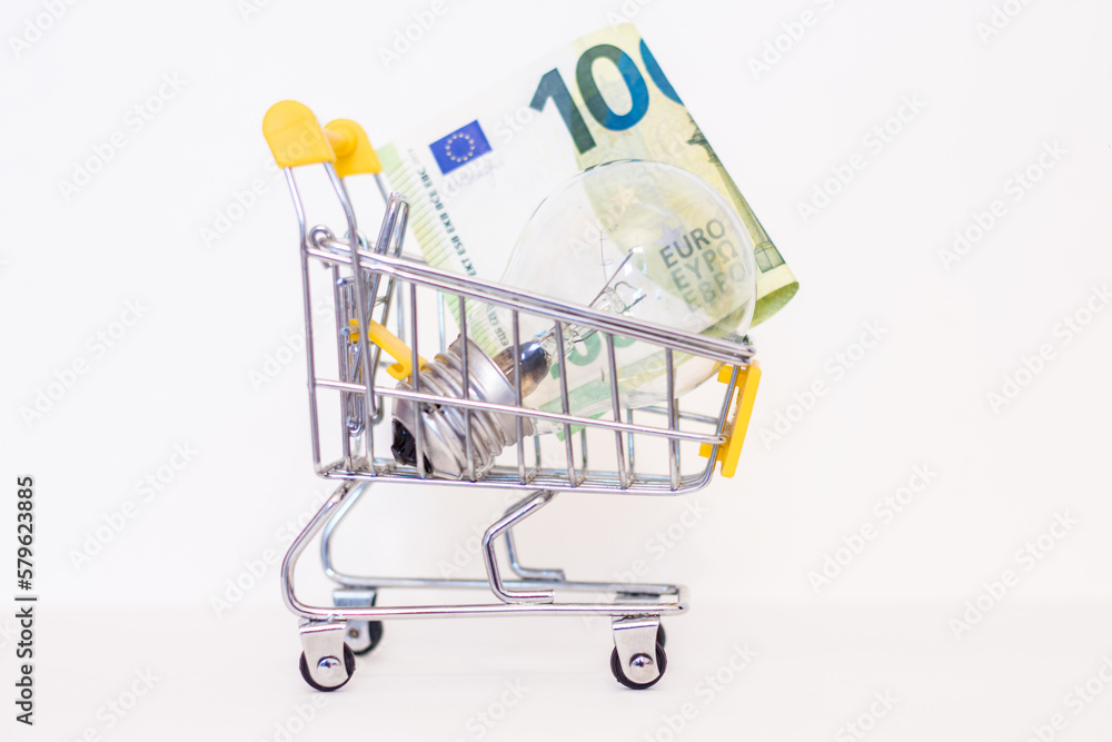 100 euro and a light bulb in a consumer basket