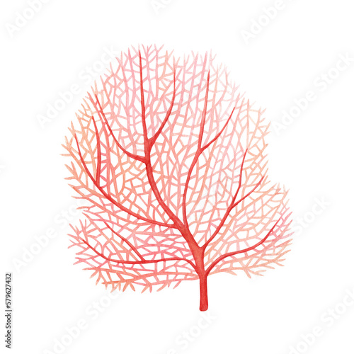 Red sea fan coral. Watercolor illustration isolated on white background