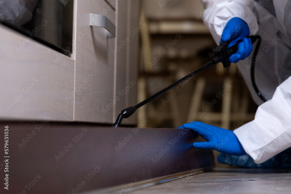 An exterminator in work clothes sprays pesticides with a spray gun. Fight against insects in apartments and houses. Disinsection of the premises