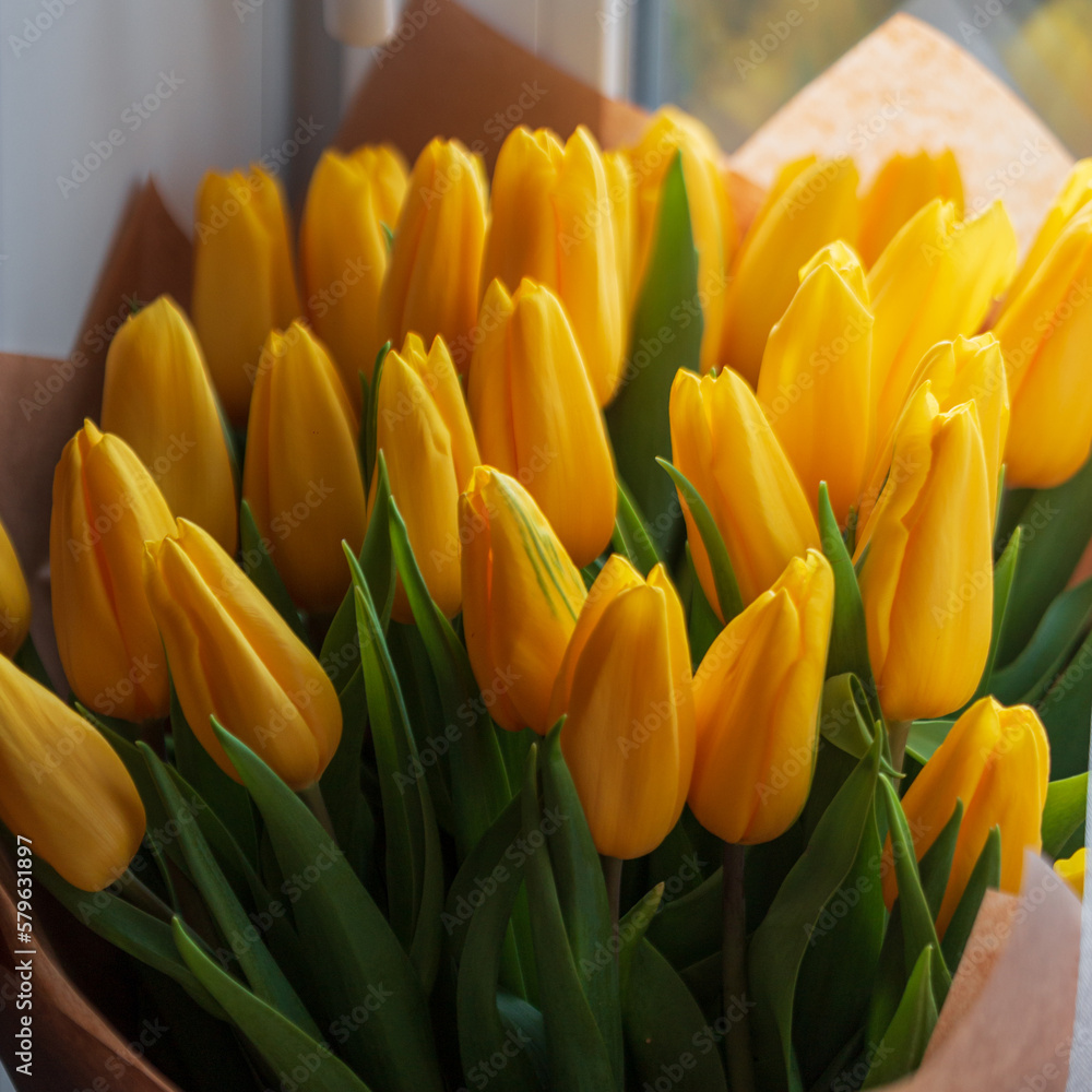 Beautiful spring delicate bouquet of yellow tulips. Spring and Women's Day Beautiful spring delicate bouquet of yellow tulips. Spring and Women's Day