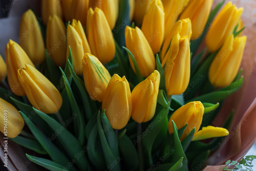 Beautiful spring bouquet of yellow tulips. Women's Day Beautiful spring bouquet of yellow tulips. Women's Day